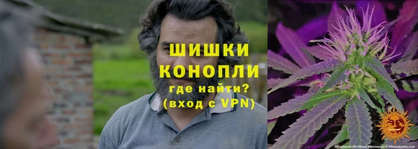 spice Богородицк
