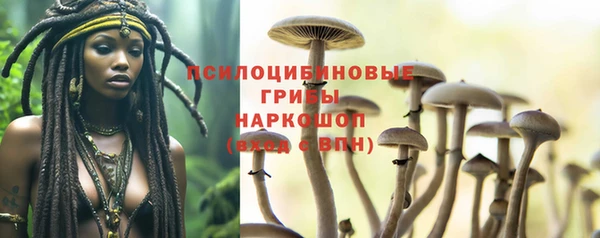 spice Богородицк