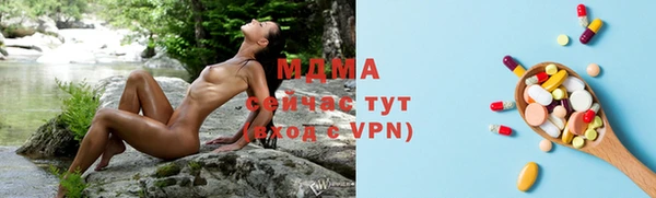 spice Богородицк