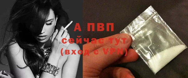 ешки Белокуриха