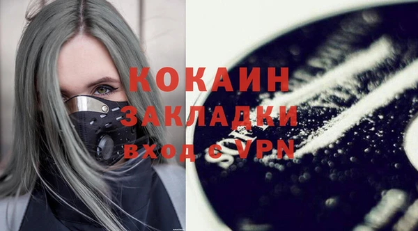 spice Богородицк