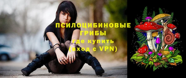 spice Богородицк