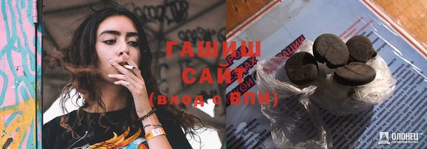 spice Богородицк