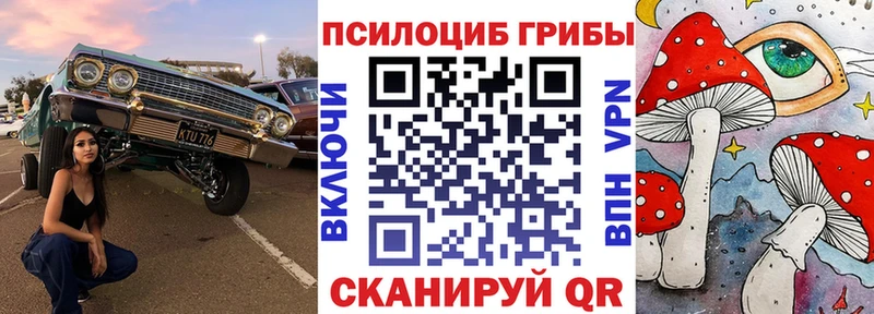 Псилоцибиновые грибы Cubensis  закладка  Бородино 
